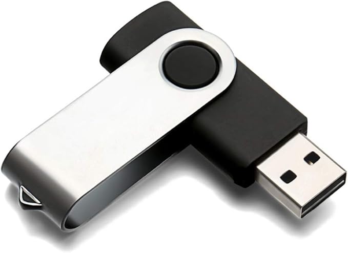 USB Flash Drive 4GB 50 Pack, Bulk USB 2.0 Flash Drives Thumb Drive Swivel Memory Stick Jump Drive Pen Drive,4 gig 50 Pieces