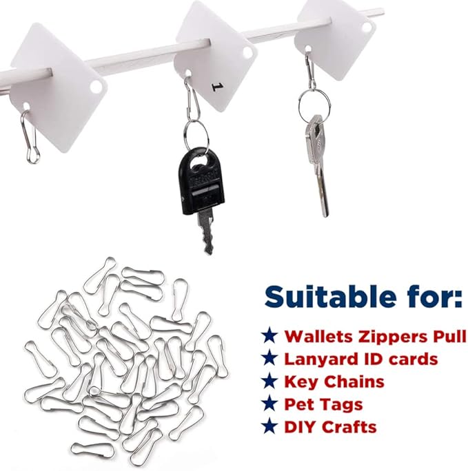 50pcs Stainless Steel Spring Lanyard Hooks for ID Card Key Chain Tag, 1 Inch(25mm Snap Buckles Clip for Wallets Purse Zipper Pull Badge Holder Keyring Clasp Plant Hanger DIY Craft