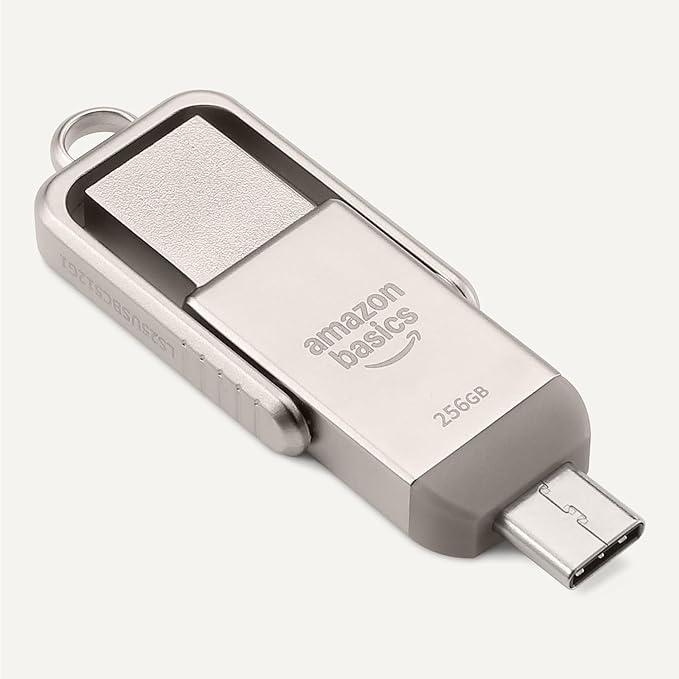 Amazon Basics USB Flash Drive, Thumb Drive Memory Stick with USB C and USB A Dual Ports, 256GB, Champagne Silver