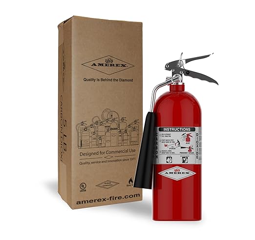 Amerex 322, 5lb CO2 Fire Extinguisher with Chrome Plated Brass Valve & Wall Hanger