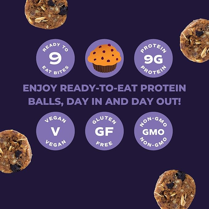 Day Out Protein Balls- Blueberry Muffin- 6 Pack Multi Serve Snack Bites