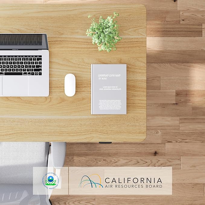 FLEXISPOT EN1 One-Piece Standing Desk 40"x24" Maple - Home Office Use, Height Adjustable with 4 Memory Presets, Supports Multiple Monitors, White Frame + Maple Top