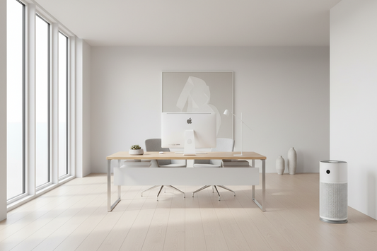Memorial Day Prep: Refreshing Your Office for the Summer Season