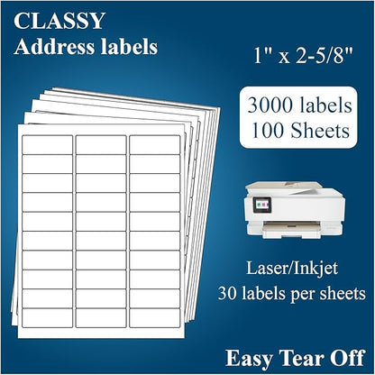 1" x 2 - 5/8" Address Labels, 3000 Labels(100 Sheets) - for Laser/Inkjet Printer, Sticker Paper White 30 per Sheet | Laser Inkjet Printer Labels - TrueDesk