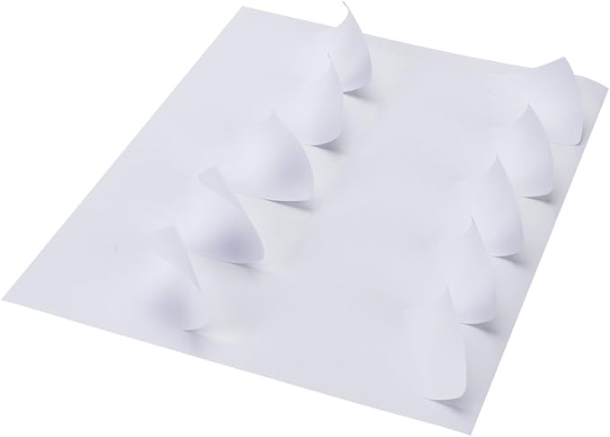 10 Up - Address Labels - 2" x 4" - 10000 Labels | Address Labels - TrueDesk
