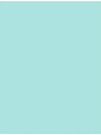 LUXPaper 11" x 17" Paper | Tabloid Size | Seafoam Blue | 80lb. Text | 50 Qty