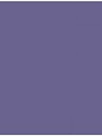 LUXPaper 11" x 17" Paper | Tabloid Size | Wisteria Purple | 80lb. Text | 50 Qty