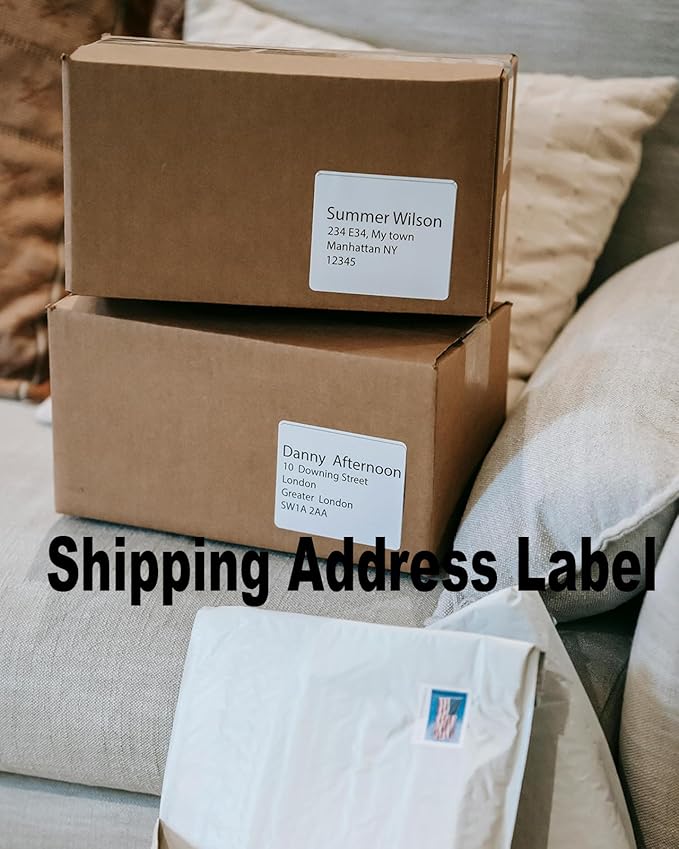 2" x 4" Shipping Address Labels for Laser Inkjet Printer, Mailing Label White for Package or Envelope, Printable Label Sheet 5163 8163 (100 Sheets 1000 Labels) | Laser Inkjet Printer Labels - TrueDesk
