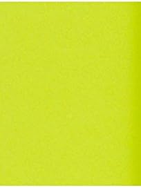 LUXPaper 11" x 17" Paper | Tabloid Size | Wasabi Green | 80lb. Text | 50 Qty