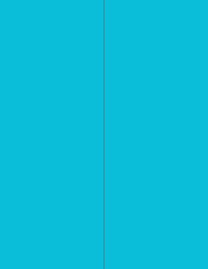 NextDayLabels - 8-1/2 x 11 Neon Color High Light Fluorescent Labels for Laser & Inkjet Printer (Blue Fluorescent, 4-1/4" x 11" - 2 Per Page | 50 Labels)