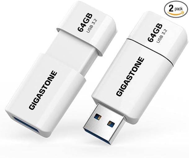 GIGASTONE 64GB Flash Drive (2 Pack) Z60 USB 3.2 Gen 1, 100MB/s Ultra Fast, Retractable Capless Slider Design, Data Storage, Backup for PC/Mac/TV/Car Audio, USB 2.0/3.0/3.1 Compatible
