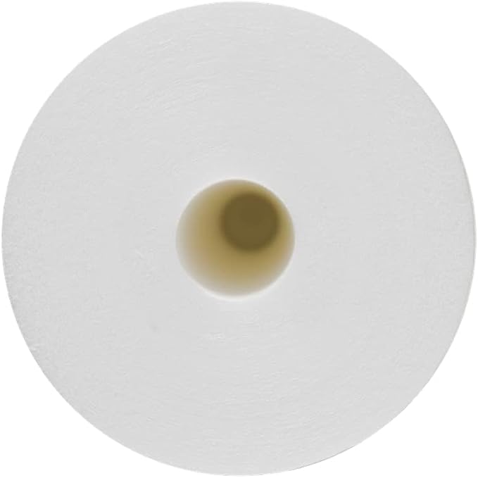 Bluonics Sediment Replacement Water Filters 4pcs (5 Micron) 4.5" x 20" Whole House Cartridges