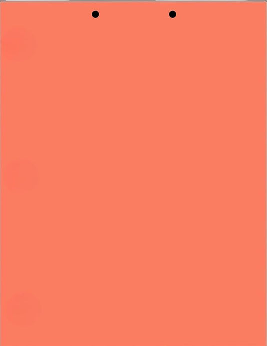 Limited Papers(TM) Writing Copy and Printing Paper, 8.5" x 11", 2 Hole Top-Punched, 20 Pound Text, 500 Sheets Per Ream. (5000, Salmon)