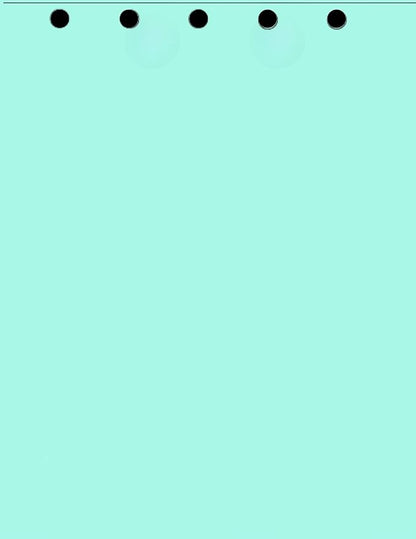 Limited Papers(TM) Writing and Copy Paper, Variation of Colors 8.5" x 11", 5 Hole Top-Punched, 20 Pound Text, 500 Sheets Per Ream. (2500, Turquoise)