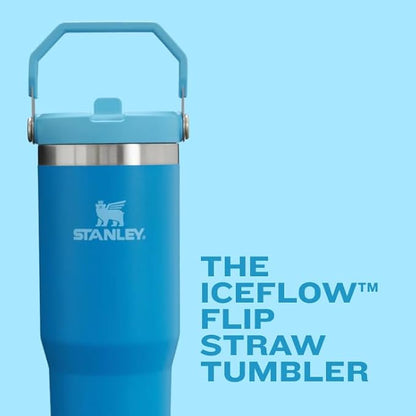 STANLEY IceFlow 2.0 Flip Straw Tumbler with Handle 20 oz | Twist On Lid and Flip Up Straw | Leakproof Water Bottle | Insulated Stainless Steel | BPA-Free | Meadow