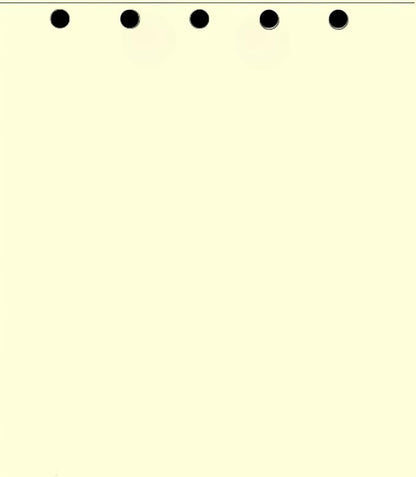 Limited Papers(TM) Writing and Copy Paper, Variation of Colors 8.5" x 11", 5 Hole Top-Punched, 20 Pound Text, 500 Sheets Per Ream. (2500, Ivory)