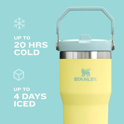 STANLEY IceFlow Flip Straw Tumbler with Handle 20 oz | Twist On Lid and Flip Up Straw | Leak Resistant Water Bottle | Insulated Stainless Steel |BPA-Free | Polar