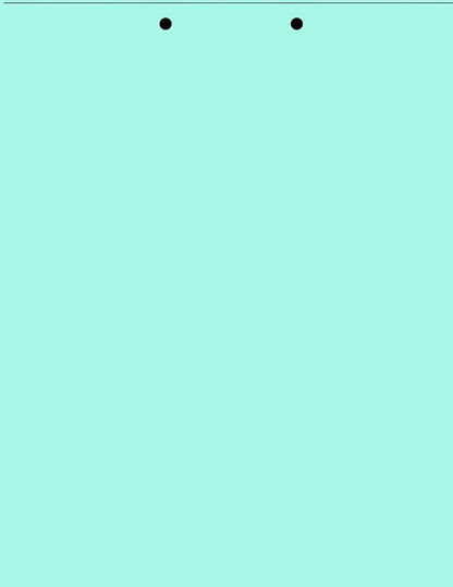 Limited Papers(TM) Writing Copy and Printing Paper, 8.5" x 11", 2 Hole Top-Punched, 20 Pound Text, 500 Sheets Per Ream. (2500, Turquoise)