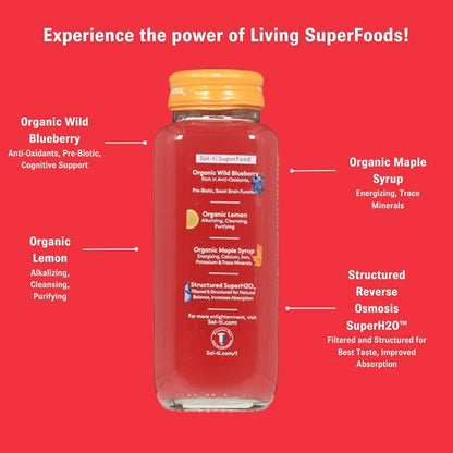 Organic SuperAde Hydration Drink with Powerful Anti-Oxidants, SuperFood Lemonade by Sol-ti, Cold-Pressed Wild Blueberry and Lemon Juice Blend, 16 Pack (14.9 Fl oz)