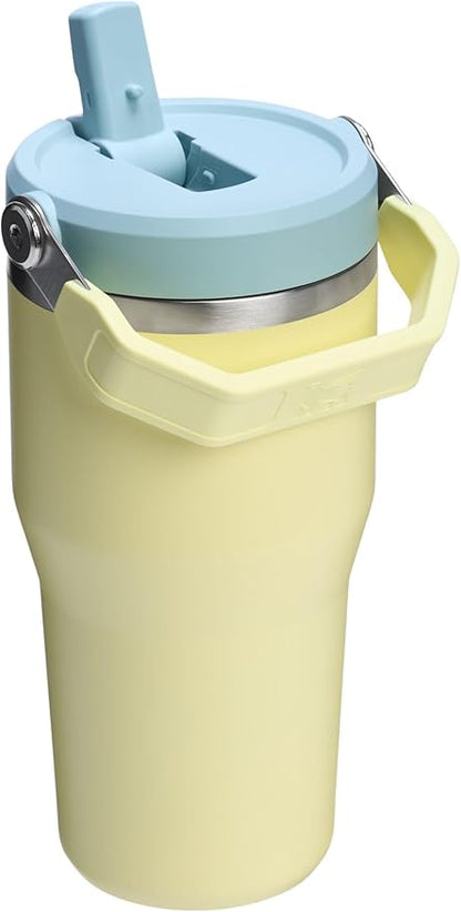 Stanley IceFlow 2.0 Flip Straw Tumbler with Handle 20 oz | Twist On Lid and Flip Up Straw | Leak Resistant Water Bottle | Insulated Stainless Steel | BPA-Free | Pomelo