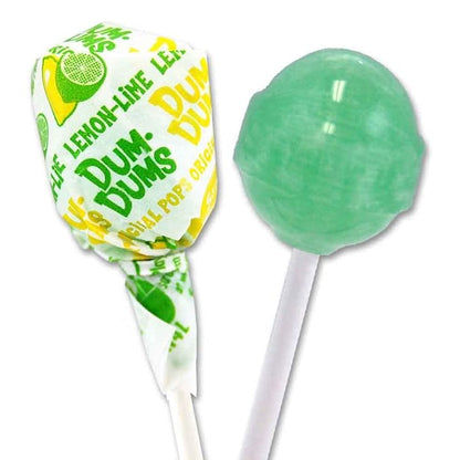 Dum Dums Lemon Lime Lollipops - Bulk Candy Box with Lollipops Individually Wrapped, Single Flavor Gourmet Suckers - 50 Count