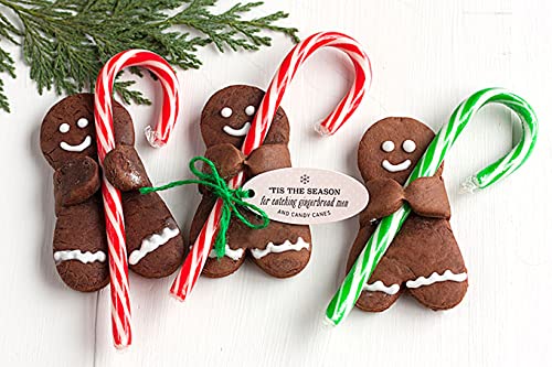 LA Signature Mini Candy Canes with Real Peppermint, Red & White, 500 Count (Pack of 1)