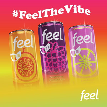 FEEL Zero Sugar Natural Energy Drink Variety Pack – Blackberry Pomegranate, Mango Passionfruit & Raspberry Lemonade, 140mg Plant-Based Caffeine with L-Theanine for Focus, Vitamin C for Immunity, Vegan, Non-GMO, No Artificial Sweeteners, 12 Fl Oz Cans (...