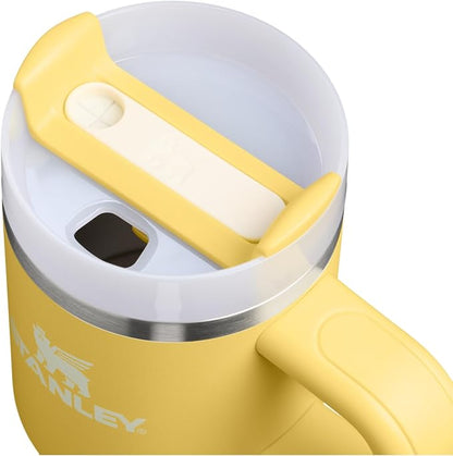 STANLEY Quencher H2.0 Tumbler with Handle and Straw 14 oz | Flowstate 3-Position Lid | Cup Holder Compatible for Travel | Insulated Stainless Steel Cup | BPA-Free | Daffodil