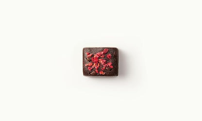 Beauty FX Collagen Protein Bars – Cacao Raspberry | 10g Protein, Hyaluronic Acid, Biotin, Marine Collagen, Hydrolyzed Keratin | Healthy Hair, Lean Muscle & Firm Skin | Anti-Aging | 12-Pack