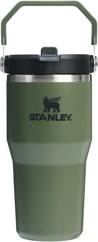 STANLEY IceFlow 2.0 Flip Straw Tumbler with Handle 20 oz | Twist On Lid and Flip Up Straw | Leakproof Water Bottle | Insulated Stainless Steel | BPA-Free | Dried Pine