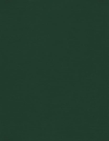 LUXPaper 8.5" x 11" Cardstock | Letter Size | Green Linen | 100lb. Cover (183lb. Text) | 250 Qty
