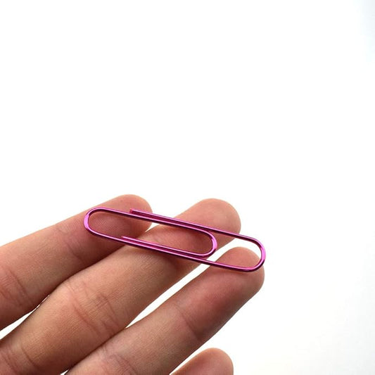 HAHIYO Paper Clips Large 2 inches Length Pink Paperclips Vinyl Coated Prevent Scratching Tearing The Pages Sturdy for Bookmark Organize Home Office School 80 Pack