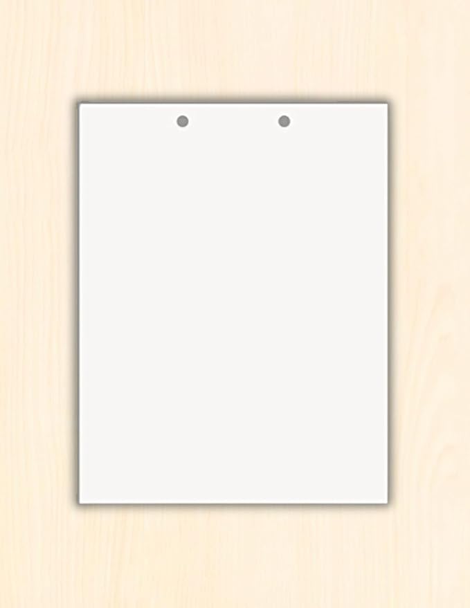 Limited Papers(TM) Writing Copy and Printing Paper, 8.5" x 11", 2 Hole Top-Punched, 20 Pound Text, 500 Sheets Per Ream. (2500, White)