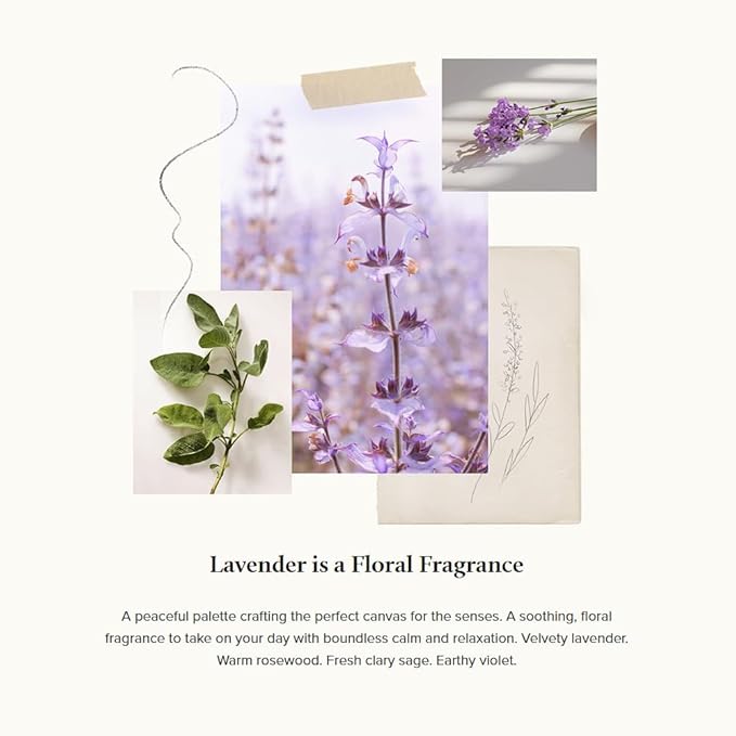 Thymes Hand Wash Refill - Lightly Scented Liquid Hand Soap for Bathroom and Kitchen Refill - Moisturizing Formula with Natural Ingredients (Lavender, 24.5 fl oz)