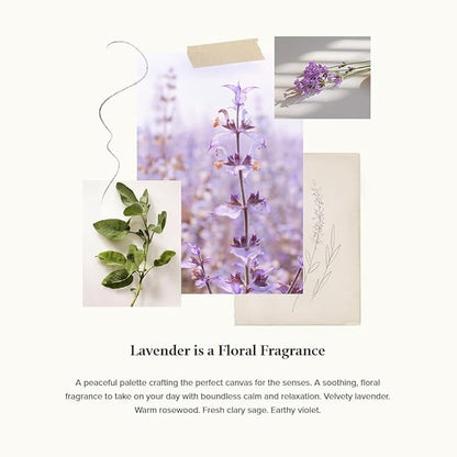 Thymes Hand Wash Refill - Lightly Scented Liquid Hand Soap for Bathroom and Kitchen Refill - Moisturizing Formula with Natural Ingredients (Lavender, 24.5 fl oz)