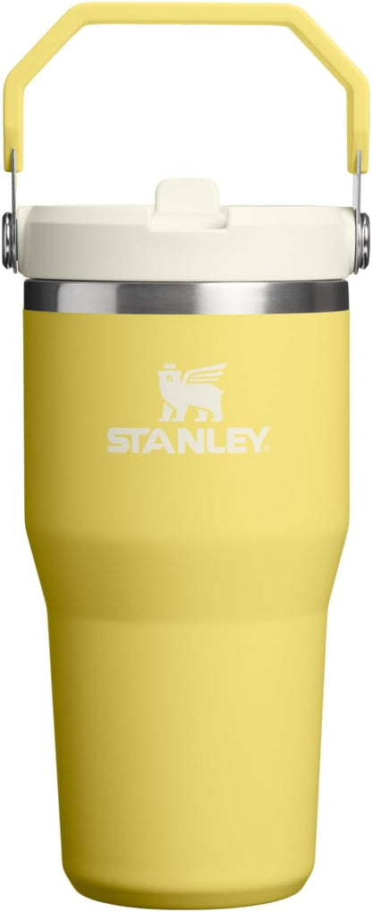 STANLEY IceFlow 2.0 Flip Straw Tumbler with Handle 20 oz | Twist On Lid and Flip Up Straw | Leakproof Water Bottle | Insulated Stainless Steel | BPA-Free | Daffodil