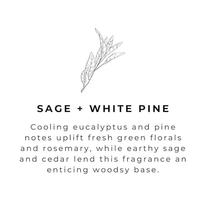 River Birch Sage + White Pine Scented Natural Hand Soap - Handmade Soap - Moisturizing Hand Wash with Amber Glass Dispenser - Luxury Scented and Hydrating - Vegan and Non-Toxic - 16 Fl Oz
