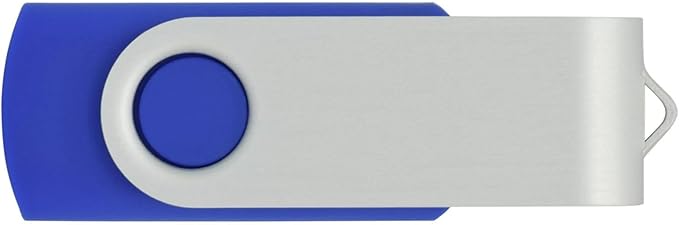 Generic 2GB USB Flash Drive 10 Pack Batch USB Thumb Drive USB Stick for Data Storage Backup, Removable Drive Zip Drive with Indicator Memory Stick(10Pack Blue, 2GB)
