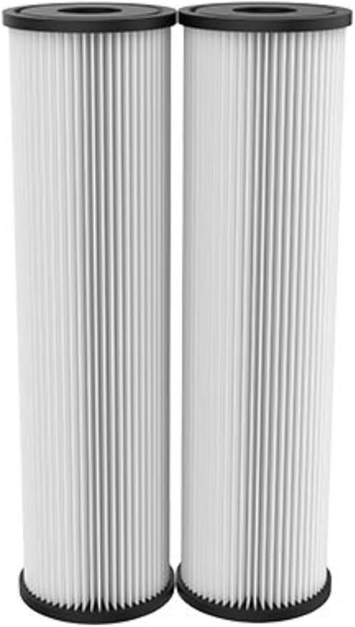 Pentair OMNIFilter RS1 Sediment Water Filter, 10-Inch, Standard Whole House Pleated Cellulose Sediment Replacement Filter Cartridge, 10" x 2.5", 20 Micron, Pack of 2