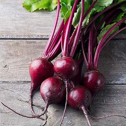 Biotta Organic Beet Juice - 100% Vegetable Juice for Energy, Immunity & Wellness - Excellent Source of Nutrients - All Natural, Non-GMO, Gluten-Free (16.9 Fl Oz, Pack of 6)