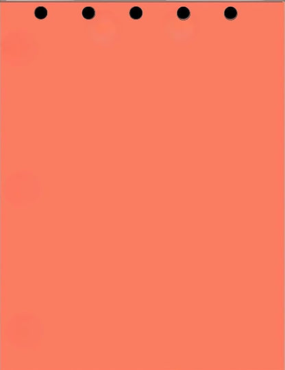 Limited Papers(TM) Writing and Copy Paper, Variation of Colors 8.5" x 11", 5 Hole Top-Punched, 20 Pound Text, 500 Sheets Per Ream. (500, Salmon)