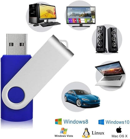 Generic 2GB USB Flash Drive 10 Pack Batch USB Thumb Drive USB Stick for Data Storage Backup, Removable Drive Zip Drive with Indicator Memory Stick(10Pack Blue, 2GB)