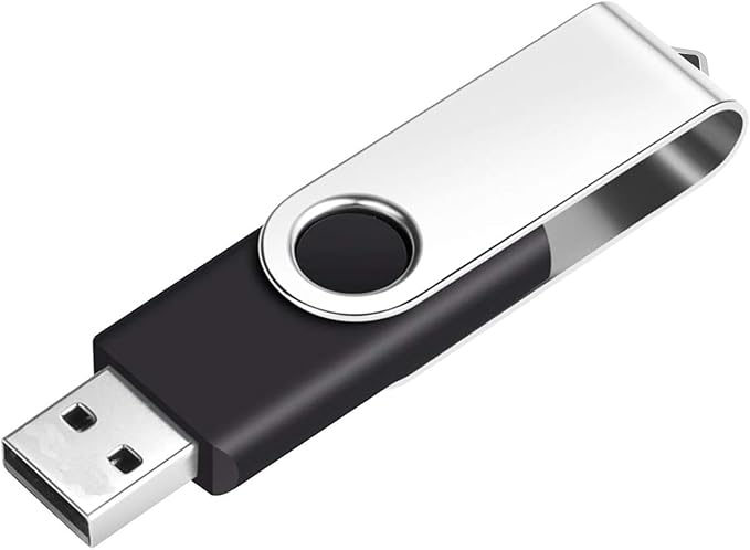 EASTBULL 50-Pack of 16GB Bulk Flash Drives USB 2.0 16GB Flash Drives Bulk Thumb Drives Pack Swivel USB Drives (Black)