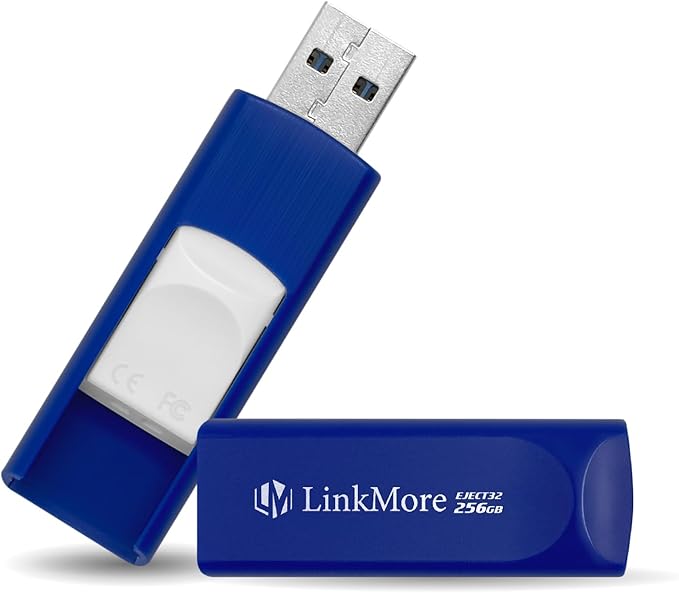LinkMore EJECT32 256GB USB 3.2 Flash Drive, Read Speed up to 100MB/s, Retractable Design Thumb Drive