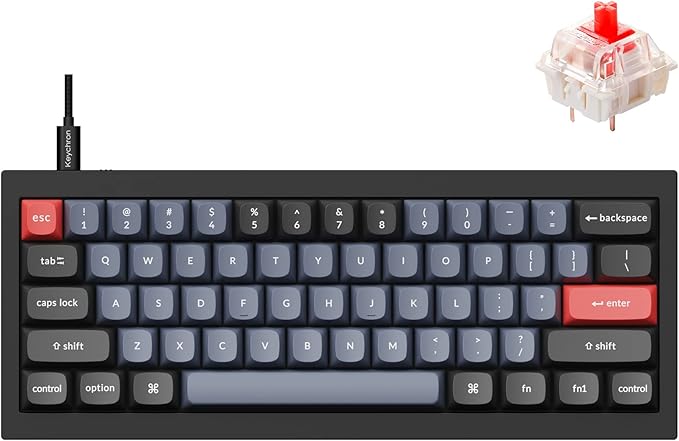 Keychron Q4 Wired Custom Mechanical Keyboard, 60% Layout QMK/VIA Programmable Macro with Hot-swappable Gateron G Pro Red Switch Double Gasket Compatible with Mac Windows Linux (Black)