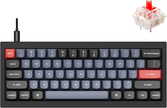 Keychron Q4 Wired Custom Mechanical Keyboard, 60% Layout QMK/VIA Programmable Macro with Hot-swappable Gateron G Pro Red Switch Double Gasket Compatible with Mac Windows Linux (Black)