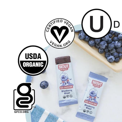 Skout Organic Blueberry Blast Real Kids Snack Bars (18 Pack) | Organic Kids Snack Bars | Plant-Based Nutrition, No Refined Sugar | Vegan | Gluten, Dairy, Grain, Peanut, Tree Nut & Soy Free