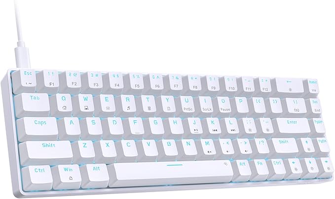 DIERYA T68SE 60% Gaming Mechanical Keyboard,Ultra Compact Mini 68 Key with Brown Switch Wired Keyboard,Anti-Ghosting Keys, for Windows Laptops and PC Gamers,White