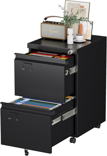 SUXXAN 2 Drawer File Cabinet with Wheels, Under Desk Drawer with Lock Name Card Holder for Home Office, Metal Filing Cabinet for Legal/Letter Size, Assembly Required