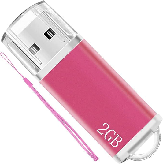 2GB USB Flash Drive 1 Pack Nicepicten Thumb Drives Zip Drive USB 2.0 Jump Flash Drive Memory Stick 2GB with Lanyards (Pink)